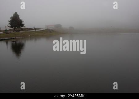 Ruhige und nebelige Seeszene. Die Oberfläche des Sees ist ruhig und reflektierend und spiegelt den Himmel darüber wider. Im Vordergrund steht ein einsamer Baum auf dem See Stockfoto
