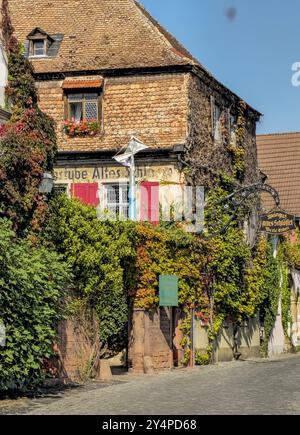 schöne Orte in der Pfalz an der Weinstraße 18.09.24: Forst an der Weinstraße Pfalz Deutschland *** schöne Orte in der Pfalz an der Weinstraße 18 09 24 Forst an der Weinstraße Pfalz Deutschland 20240918 125032 Stockfoto