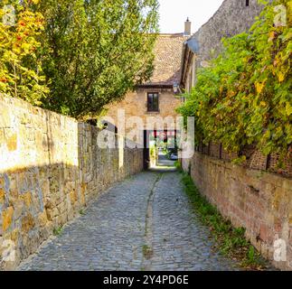 schöne Orte in der Pfalz an der Weinstraße 18.09.24: Forst an der Weinstraße Pfalz Deutschland *** schöne Orte in der Pfalz an der Weinstraße 18 09 24 Forst an der Weinstraße Pfalz Deutschland 20240918 125314 Stockfoto