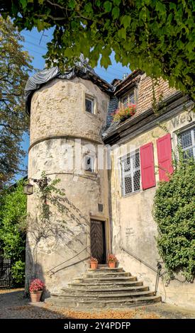 schöne Orte in der Pfalz an der Weinstraße 18.09.24: Forst an der Weinstraße Pfalz Deutschland *** schöne Orte in der Pfalz an der Weinstraße 18 09 24 Forst an der Weinstraße Pfalz Deutschland 20240918 125132 Stockfoto