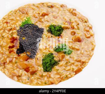 Klassisches italienisches veganes Pilzrisotto mit Arborio-Reis Stockfoto