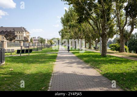 Radfahrer auf einer Allee am Neckarufer im Spätsommer , Deutschland, Baden-Württemberg, Mannheim, 19.09.2024, ein Radfahrer fährt auf einem gepflasterten Weg entlang einer von Bäumen gesäumten Allee am Neckarufer in Mannheim, mit Sitzbänken und Laternen im spätsommerlichen Sonnenlicht. *** Radfahrer auf einer Allee am Neckarufer im Spätsommer , Deutschland, Baden-Württemberg, Mannheim, 19 09 2024, ein Radfahrer fährt auf einem gepflasterten Weg entlang einer baumgesäumten Allee am Neckarufer in Mannheim, mit Bänken und Windlichtern im Spätsommer-Sonnenlicht Stockfoto