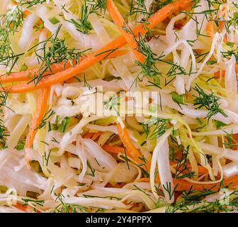 Sauerkraut in einer weißen Platte isoliert Stockfoto