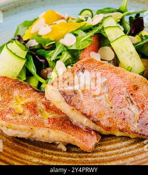 Gegrillte Red Snapper Fischfilets und frischer Gemüsesalat Stockfoto