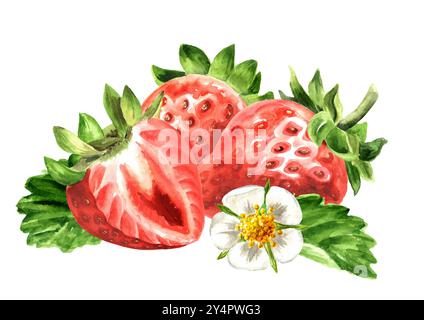Erdbeerbeeren mit Blättern und Flüssen. Aquarell handgemalte Illustration, isoliert auf weißem Hintergrund Stockfoto