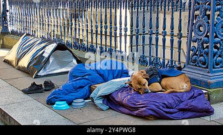 Glasgow, Schottland, Vereinigtes Königreich, 19. September 2024. Wetter in Großbritannien: Sonnig und warm, wenn der Sommer zurückkehrt. Ein Obdachloses Camp öffnet sich auf dem königlichen Wechselplatz, einem Mekka für Touristen, die die Galerie der modernen Kunst und den Kegelkopf besuchen. Credit Gerard Ferry/Alamy Live News Stockfoto