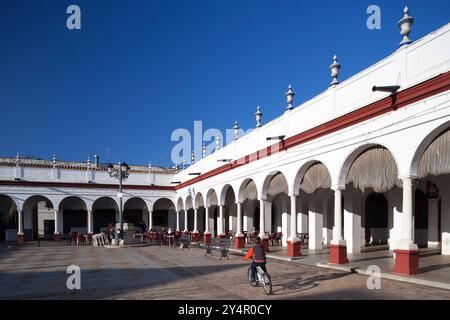 Besucher genießen den lebhaften Marktplatz in Carmona, Sevilla, umgeben von schöner weiß getünchter Architektur und mediterranem Ambiente. Stockfoto