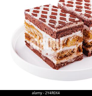 Zwei Stück mehrschichtiger Kakaoschwammkuchen Stockfoto