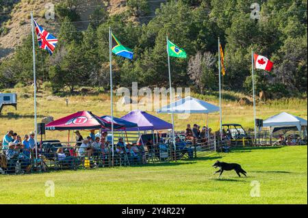 Die Zuschauer sehen die Meeker Classic Sheepdog Championship Trials; Meeker: Colorado; USA Stockfoto