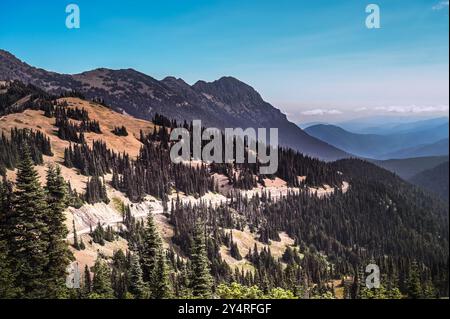 Die Straße nach Hurricane Ridge, von Port Angeles WA. Olympic National Park. Stockfoto