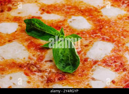 Neapolitanische Pizza auf einer Sahnesauce Stockfoto