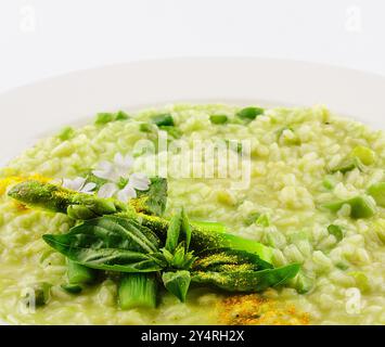 Risotto mit Spargel isoliert auf weißer Ebene Stockfoto