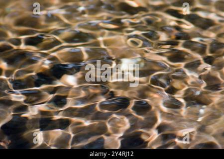 Borivali, Maharashtra / Indien - 18. November 2007: Die schöne Aussicht auf die Wellen im Wasser des Dschungels. Stockfoto