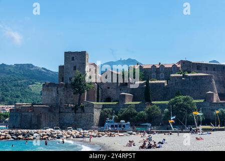 Collioure, Frankreich - 17. Juni 2024: Chateau Royal de Collioure oder Castell Reial de Cotlliure am Strand dieses Fischerdorfes von Frankreich mit Peop Stockfoto