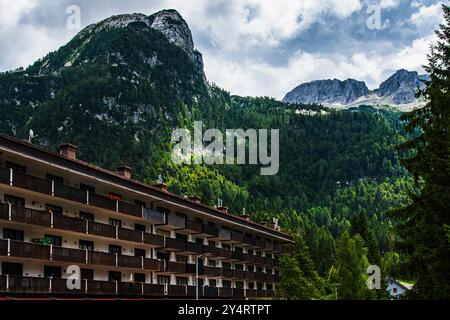 TARVISIO, ITALIEN – 23. JULI 2024: Park des Prealpi Giulie, der die vielfältigen Landschaften der Region, von üppigen Wäldern bis hin zu zerklüfteten Gipfeln, empha, zeigt Stockfoto