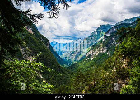 TARVISIO, ITALIEN – 23. JULI 2024: Park des Prealpi Giulie, der die vielfältigen Landschaften der Region, von üppigen Wäldern bis hin zu zerklüfteten Gipfeln, empha, zeigt Stockfoto