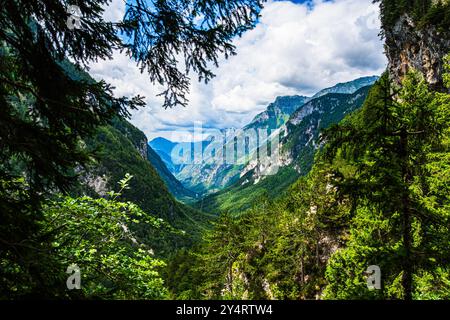 TARVISIO, ITALIEN – 23. JULI 2024: Park des Prealpi Giulie, der die vielfältigen Landschaften der Region, von üppigen Wäldern bis hin zu zerklüfteten Gipfeln, empha, zeigt Stockfoto