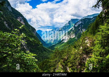 TARVISIO, ITALIEN – 23. JULI 2024: Park des Prealpi Giulie, der die vielfältigen Landschaften der Region, von üppigen Wäldern bis hin zu zerklüfteten Gipfeln, empha, zeigt Stockfoto