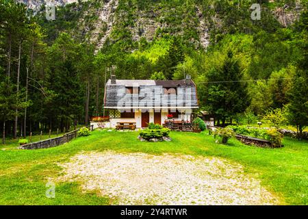 TARVISIO, ITALIEN – 23. JULI 2024: Park des Prealpi Giulie, der die vielfältigen Landschaften der Region, von üppigen Wäldern bis hin zu zerklüfteten Gipfeln, empha, zeigt Stockfoto