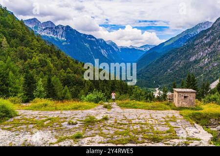 TARVISIO, ITALIEN – 23. JULI 2024: Park des Prealpi Giulie, der die vielfältigen Landschaften der Region, von üppigen Wäldern bis hin zu zerklüfteten Gipfeln, empha, zeigt Stockfoto