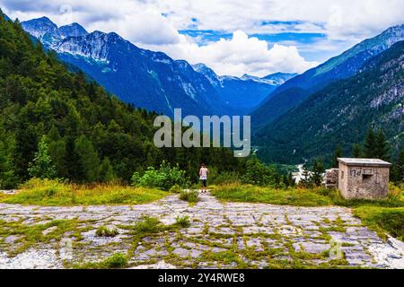 TARVISIO, ITALIEN – 23. JULI 2024: Park des Prealpi Giulie, der die vielfältigen Landschaften der Region, von üppigen Wäldern bis hin zu zerklüfteten Gipfeln, empha, zeigt Stockfoto