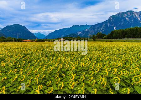 PARCO REGIONALE PREALPI GIULIE, ITALIEN – 23. JULI 2024: Weitläufiger Blick auf den Regionalpark Prealpi Giulie mit vielfältigen Naturlandschaften Stockfoto