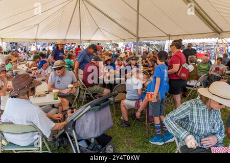 Die Zuschauer versammelten sich unter einem großen Zelt, um zu essen und zu besuchen; die Meeker Classic Sheepdog Championship Trials; Meeker; Colorado; USA Stockfoto