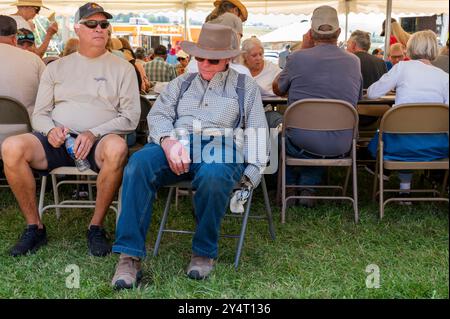 Verschlafener Zuschauer, der unter einem großen Zelt saß, beim Essen und Besuchen; die Meeker Classic Sheepdog Championship Trials; Meeker; Colorado; USA Stockfoto