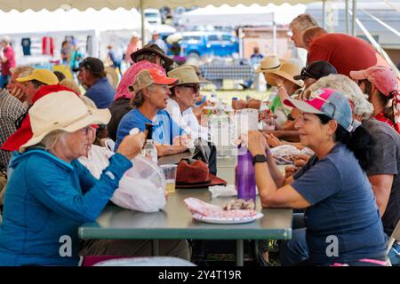 Die Zuschauer versammelten sich unter einem großen Zelt, um zu essen und zu besuchen; die Meeker Classic Sheepdog Championship Trials; Meeker; Colorado; USA Stockfoto