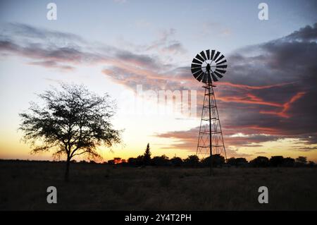 Windmühle auf einer Farm in der Namib-Wüste, Namibia, Afrika Stockfoto