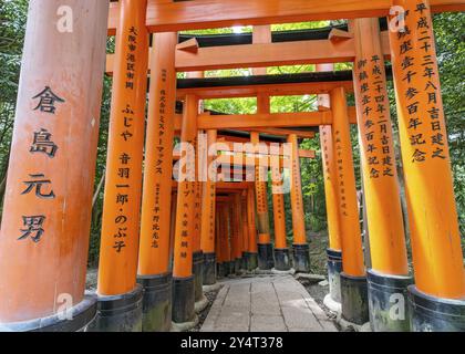 Torii Pfad, Fushimi Inari-Taisha Schrein, Kyoto, Japan, Asien Stockfoto
