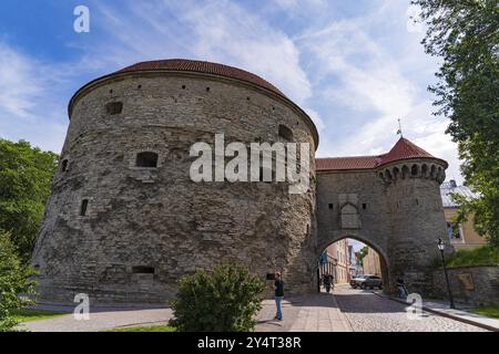 FAT Margaretenturm und estnisches Meeresmuseum in Tallinn, Estland, Europa Stockfoto