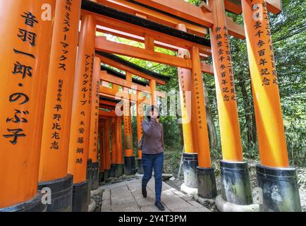 Fushimi Inari-Taisha Schrein, Kyoto, Japan, Asien Stockfoto