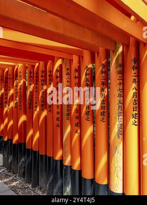 Torii Tore, Fushimi Inari-Taisha Schrein, Kyoto, Japan, Asien Stockfoto