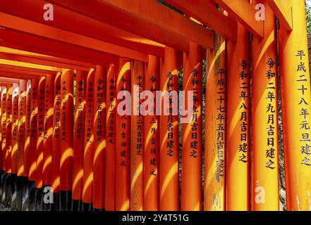 Torii Tore, Fushimi Inari-Taisha Schrein, Kyoto, Japan, Asien Stockfoto