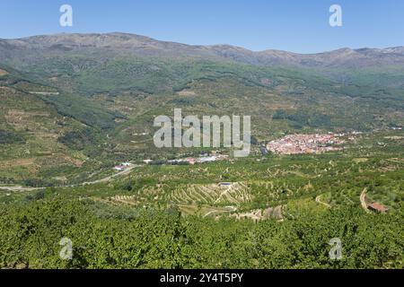 Ein grünes Tal mit einem Dorf und Terrassenhügeln im Hintergrund, Cabezuela del Valle, Valle del Jerte, Jerte Valley, Caceres, Caceres, Extremadura Stockfoto