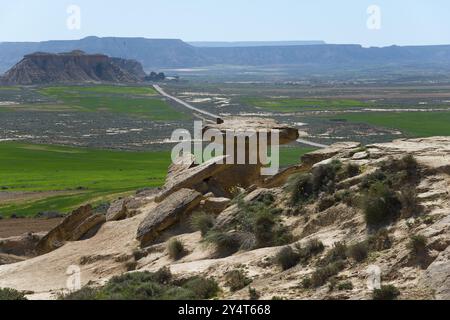 Landschaft mit einzigartigen Felsformationen und einem grünen Tal unter einem klaren blauen Himmel, Bardenas Reales Naturpark, Wüste, Halbwüste, Navarra, Nafarroa Stockfoto