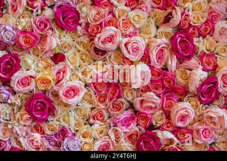 Textur von farbigen Blumen und Rosen als Dekoration, Hintergrund, Valentinstag, romantisch, Nahaufnahme, feiern Stockfoto