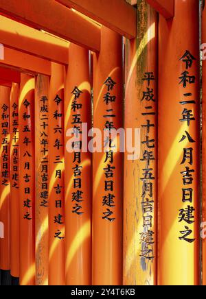 Torii Tore, Fushimi Inari-Taisha Schrein, Kyoto, Japan, Asien Stockfoto