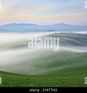 Morgennebel im Val d'Orcia, Nebel fließt durch hügelige Landschaft, UNESCO-Weltkulturerbe, Provinz Siena, San Quirico d'Orcia, Toskana, Italien, Eur Stockfoto