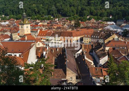 Ratshaus auf dem Ratsplatz in Brasov, Siebenbürgen, Rumänien, Europa Stockfoto