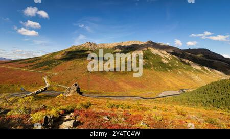 Savage River vom Savage Alpine Trail im Denali National Park aus gesehen. Stockfoto