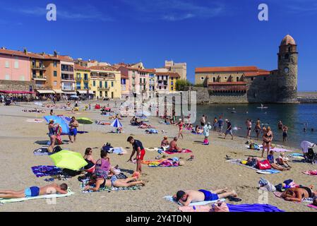 Leute, die im Sommer Spaß am Strand in Collioure, Frankreich, Europa haben Stockfoto