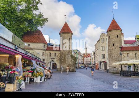 Viru Gate in Taillinn, Estland, Europa Stockfoto