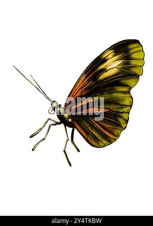 Schmetterling, Seitenansicht. Die Flügel sind eingeklappt. Grün, rot, grau. Wunderschönes Insekt. Aquarellabbildung. Stockfoto