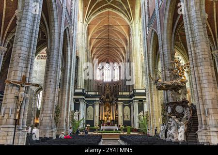 Inneres der Kathedrale Saint Bavo, einer katholischen Kirche in Gent, Belgien, Europa Stockfoto