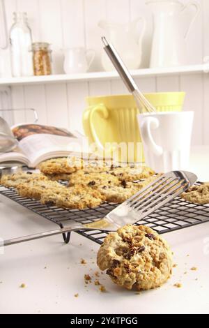 Frisch gebackenes Haferflocken mit Rosinen Cookies auf Rack-Kühlung Stockfoto