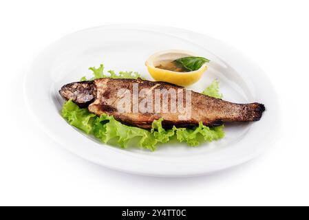 Gegrillte Forelle liegt auf einem Bett mit Salat auf einem weißen Teller, serviert mit Zitrone und Gewürz Stockfoto