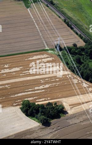 Eine Hochspannungsleitung verläuft über ein Feld in Münsterland Stockfoto