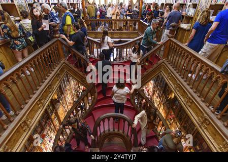 Das Innere des Lello Bookstore, einer der schönsten Buchhandlungen der Welt, in Porto, Portugal, Europa Stockfoto